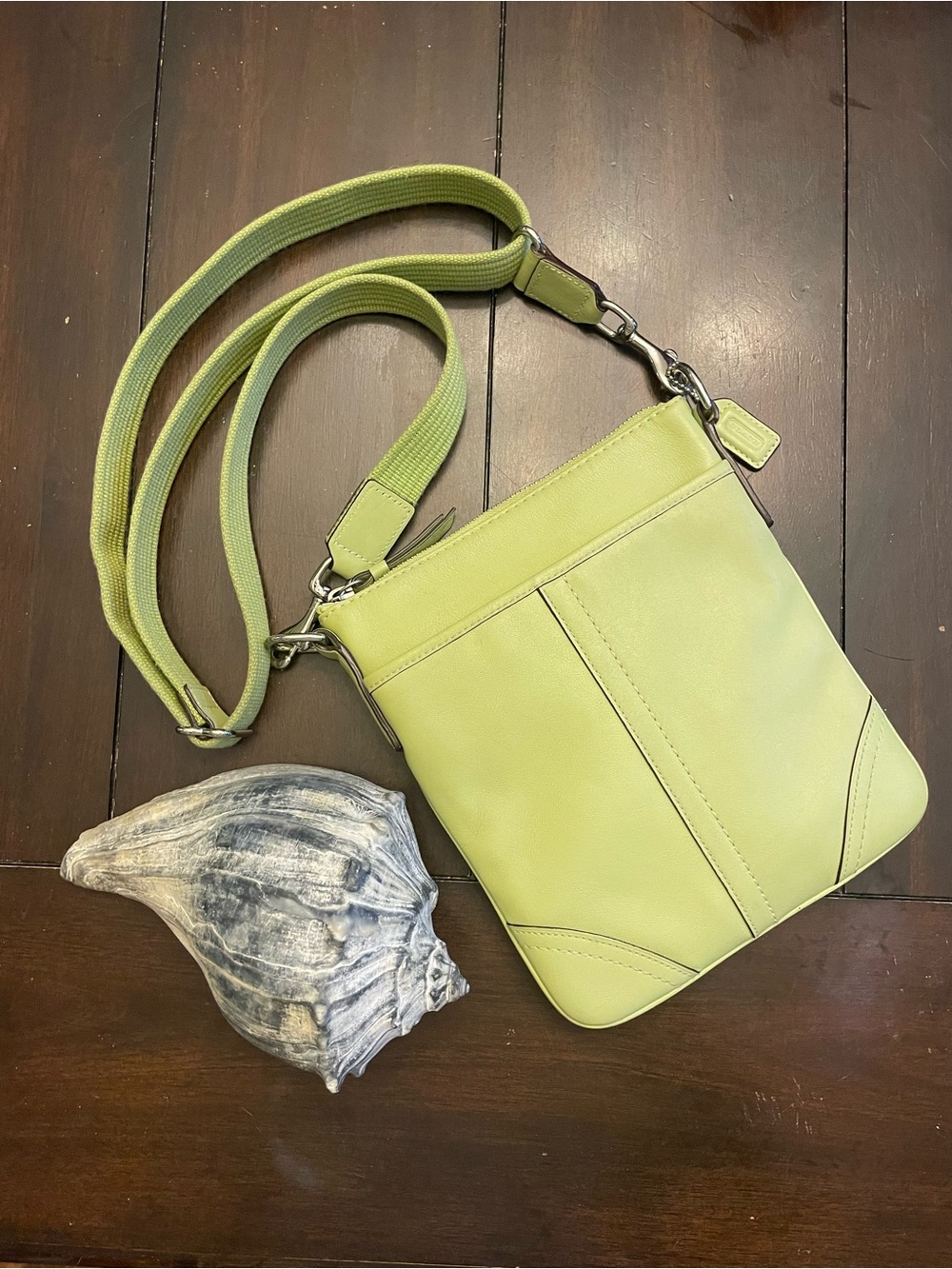 Coach “apple” swing pack Y2K